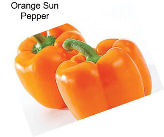 Orange Sun Pepper