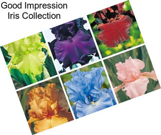 Good Impression Iris Collection