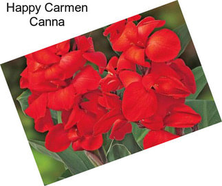 Happy Carmen Canna