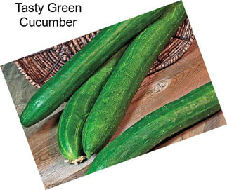 Tasty Green Cucumber