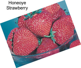 Honeoye Strawberry