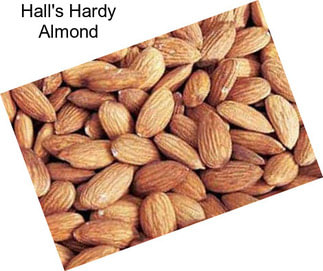 Hall\'s Hardy Almond