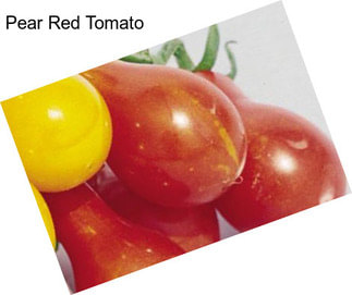 Pear Red Tomato