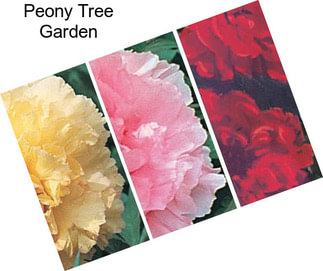 Peony Tree Garden