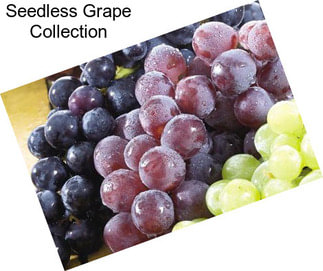 Seedless Grape Collection