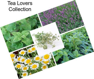 Tea Lovers Collection