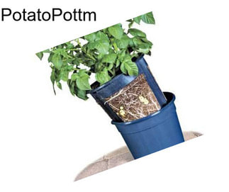 PotatoPottm