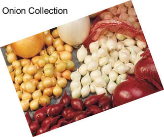 Onion Collection