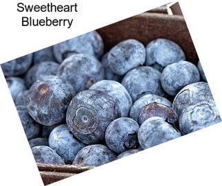 Sweetheart Blueberry