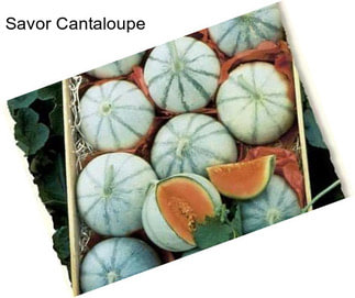 Savor Cantaloupe