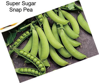 Super Sugar Snap Pea