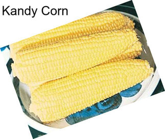 Kandy Corn