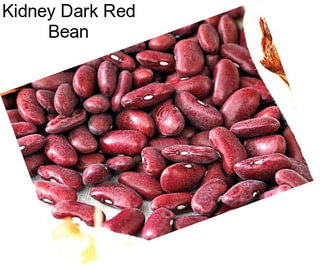 Kidney Dark Red Bean