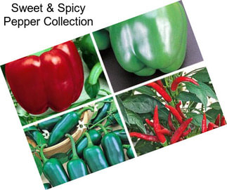 Sweet & Spicy Pepper Collection