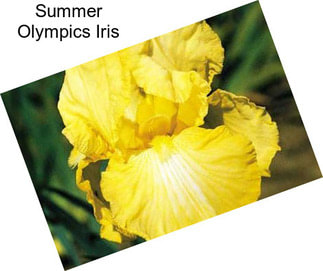 Summer Olympics Iris