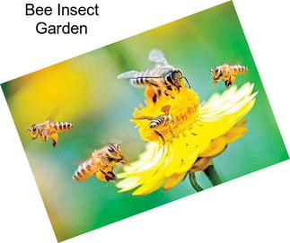 Bee Insect Garden