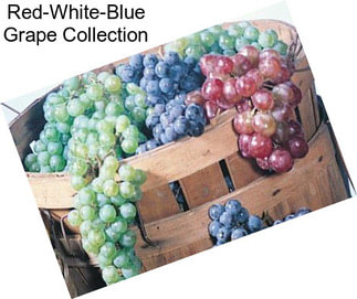 Red-White-Blue Grape Collection
