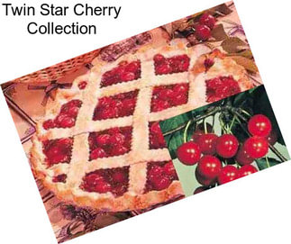 Twin Star Cherry Collection