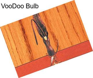 VooDoo Bulb