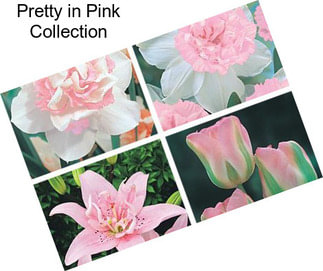 Pretty in Pink Collection