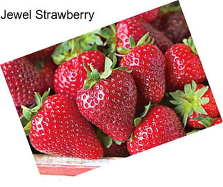 Jewel Strawberry
