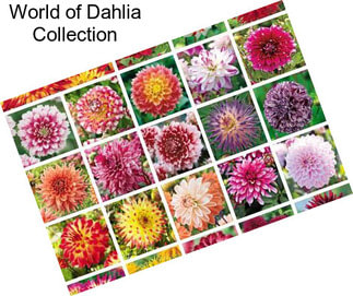 World of Dahlia Collection