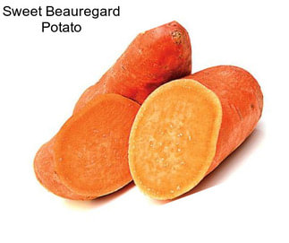 Sweet Beauregard Potato
