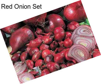 Red Onion Set