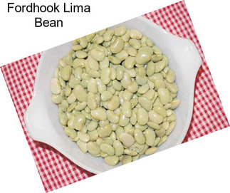 Fordhook Lima Bean