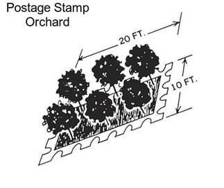 Postage Stamp Orchard