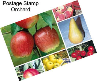 Postage Stamp Orchard