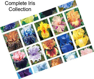 Complete Iris Collection