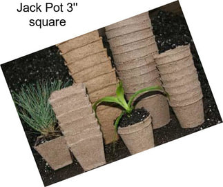 Jack Pot 3\'\' square