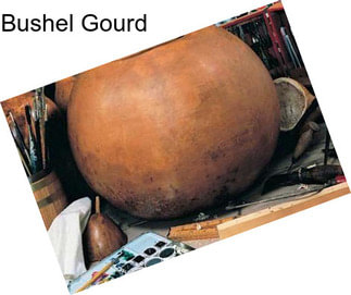 Bushel Gourd