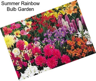 Summer Rainbow Bulb Garden