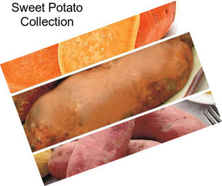 Sweet Potato Collection