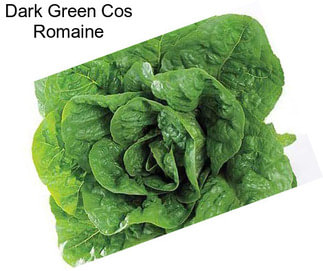 Dark Green Cos Romaine