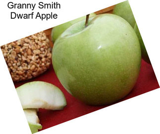 Granny Smith Dwarf Apple