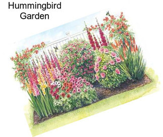 Hummingbird Garden