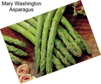 Mary Washington Asparagus