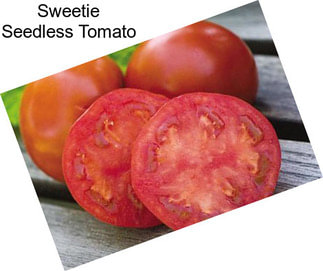 Sweetie Seedless Tomato