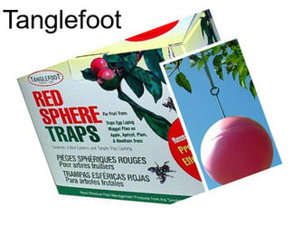 Tanglefoot