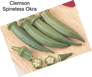 Clemson Spineless Okra