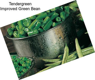 Tendergreen Improved Green Bean