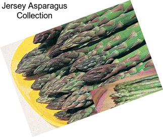 Jersey Asparagus Collection