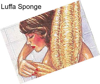 Luffa Sponge