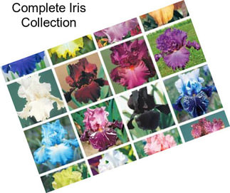 Complete Iris Collection