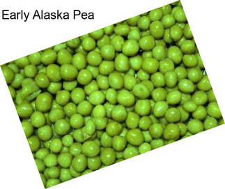 Early Alaska Pea