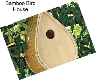 Bamboo Bird House