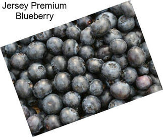 Jersey Premium Blueberry